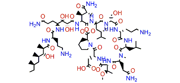 Homophymine A1